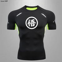 Modell 7